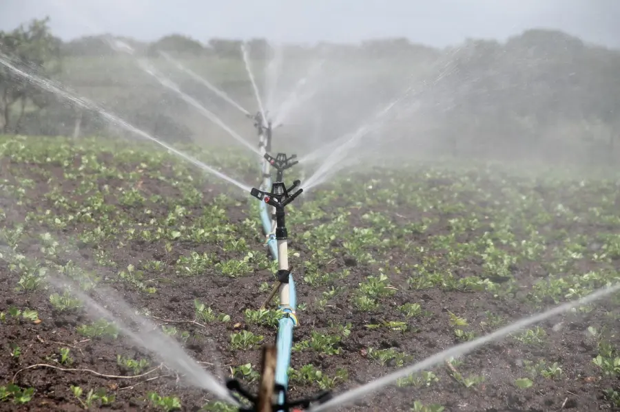 Pompa per impianto di irrigazione, come scegliere il modello più adatto