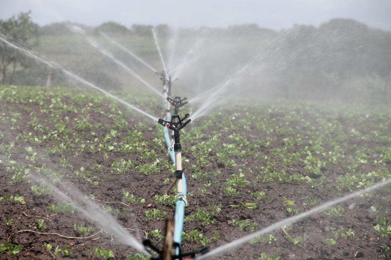 Pompa per impianto di irrigazione, come scegliere il modello più adatto